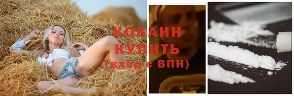 mdpv Костерёво