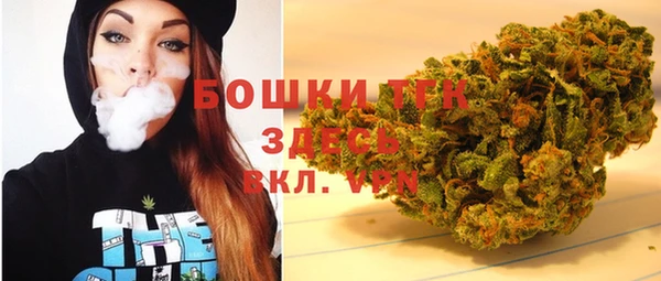 Альфа ПВП Корсаков
